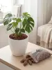 Мульча для сада из шишек целая 500 гр