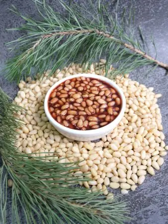 Кедровый орех в Сосновом сиропе, 100 мл Кедровый орех в Сосновом сиропе, 100 мл